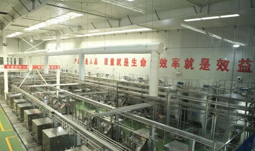 中國飲料界的超級單品 年銷40億罐，鑄就百億餐飲服務帝國