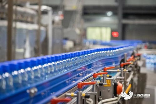 探秘全區(qū)首家國家級綠色工廠 餐飲服務的環(huán)保革命